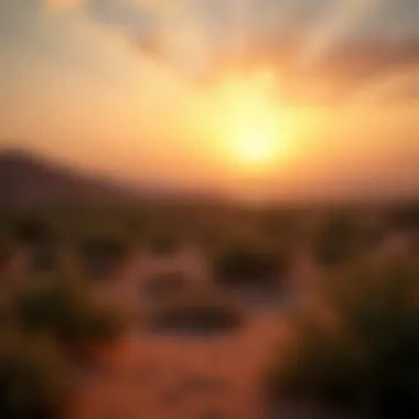 Picturesque Sunset Over the Al Barari Landscape A picturesque sunset view over the Al Barari landscape