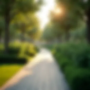 Bicycle pathway surrounded by greenery in Al Barsha South Park