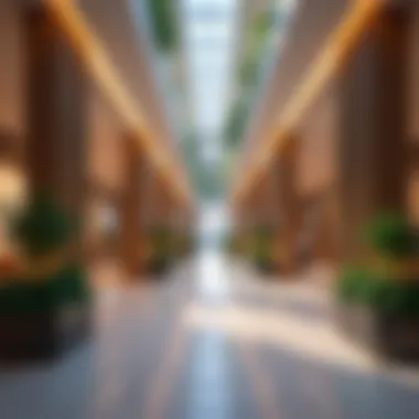 Vibrant commercial spaces in Al Danube developments Commercial property options offered by Al Danube