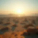 Aerial view of Dubai showcasing available land for sale