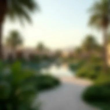Al Ain Oasis: A Lush Retreat A panoramic view of Al Ain Oasis showcasing lush greenery