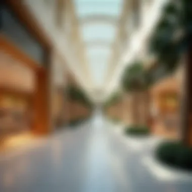 Diverse Retail Offerings at Warqa Mall Vibrant retail spaces inside Warqa Mall featuring unique stores