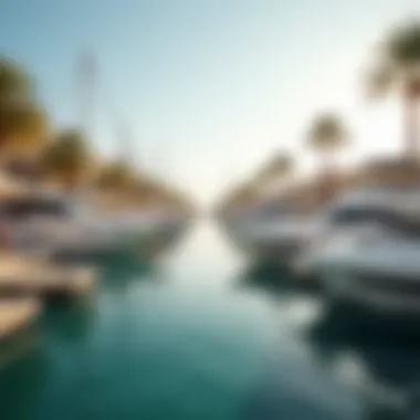 Leisure at the Marina in Mina Jebel Ali Vibrant marina at Mina Jebel Ali filled with yachts and leisure activities